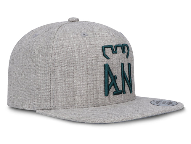 Gorra Atlético Nacional Oficial Flexfit 6089M Plana Gris Haspe