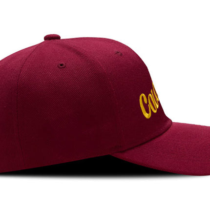 Gorra DJ caps Souvenir Colombia guacamaya vinotinto