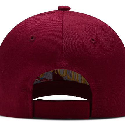 Gorra DJ caps Souvenir Colombia guacamaya vinotinto
