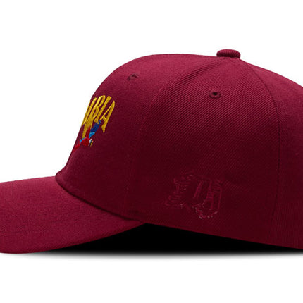 Gorra DJ caps Souvenir Colombia guacamaya vinotinto