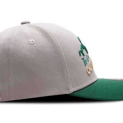 Gorra de moda DJ Caps The great outdoors are calling gris/verde