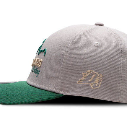 Gorra de moda DJ Caps The great outdoors are calling gris/verde