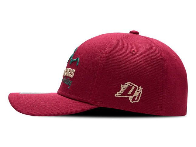 Gorra de moda DJ Caps The great outdoors are calling vinotinto