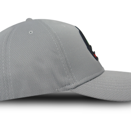 Gorra Caimanes de barranquilla Oficial Entrenamiento Gris