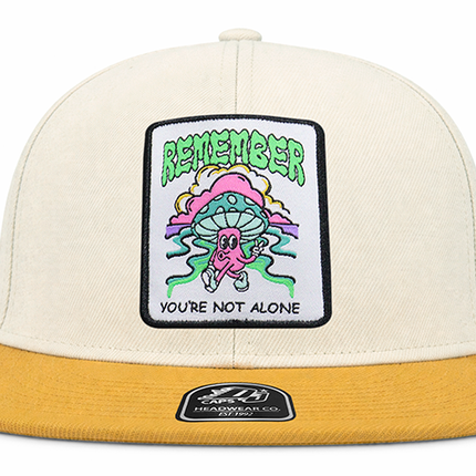 Gorra plana DJ Remember you´re not alone beige/amarillo
