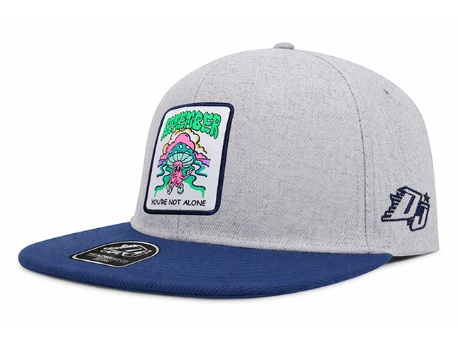 Gorra plana DJ Remember you´re not alone gris/azul