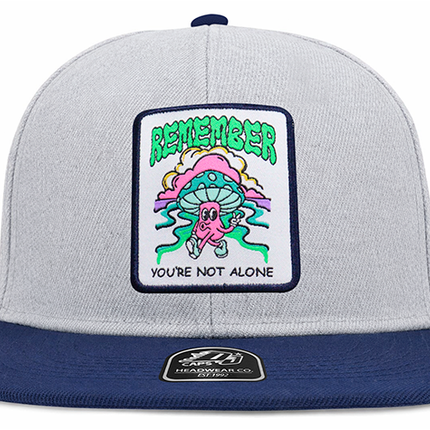 Gorra plana DJ Remember you´re not alone gris/azul