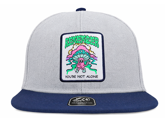 Gorra plana DJ Remember you´re not alone gris/azul