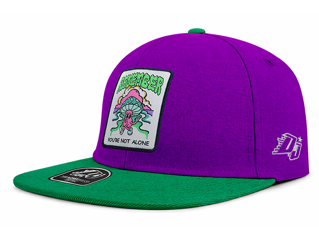 Gorra plana DJ Remember you´re not alone morado/verde