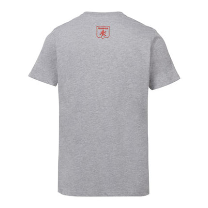 Camiseta América De Cali Oficial Gris