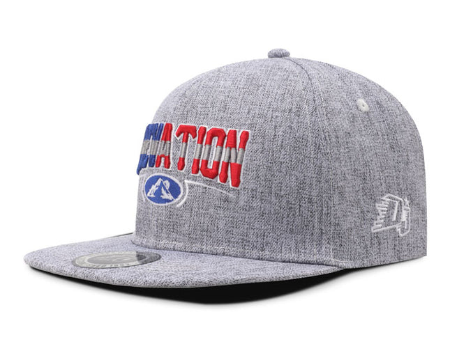 Gorra plana DJ Elevation